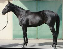 ����å��ǳ��������ɽ�����ޤ�