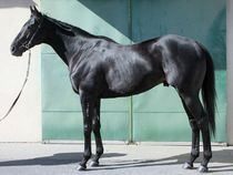 ����å��ǳ��������ɽ�����ޤ�