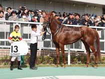 ����å��ǳ��������ɽ�����ޤ�