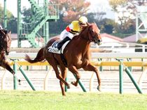 ����å��ǳ��������ɽ�����ޤ�