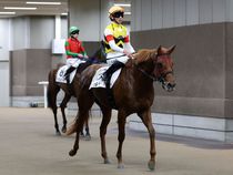 ����å��ǳ��������ɽ�����ޤ�