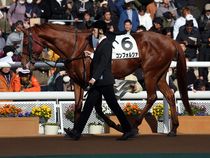 ����å��ǳ��������ɽ�����ޤ�